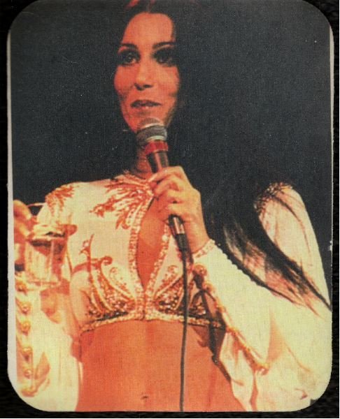 Cher / On Stage 1970's Photo | Mousepad