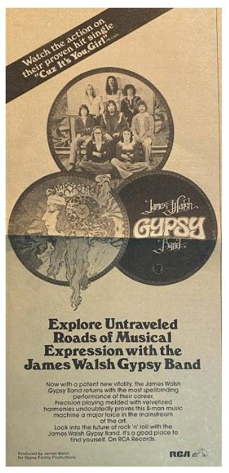 Walsh, James (Gypsy Band) / James Walsh Gypsy Band / 1978