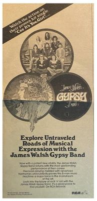 Walsh, James (Gypsy Band) / James Walsh Gypsy Band / 1978