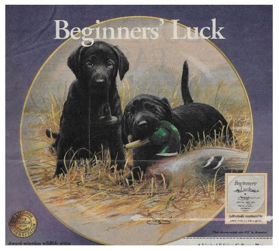 Franklin Mint, The / Beginners&#39; Luck / 1992