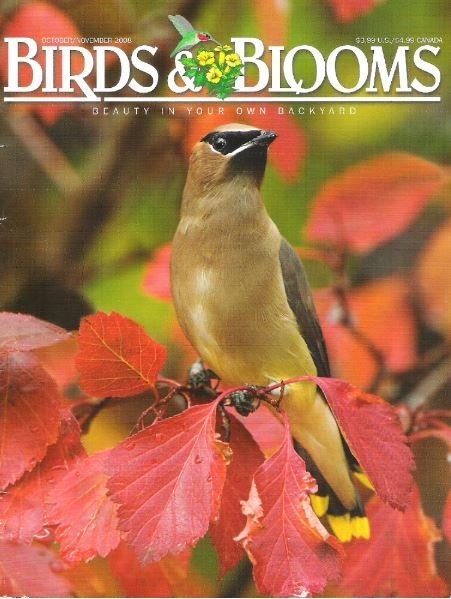 Birds + Blooms / Cedar Waxwing On Hawthorn / October - November | Magazine (2008)