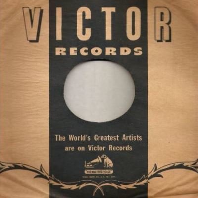 10 Inch Sleeves