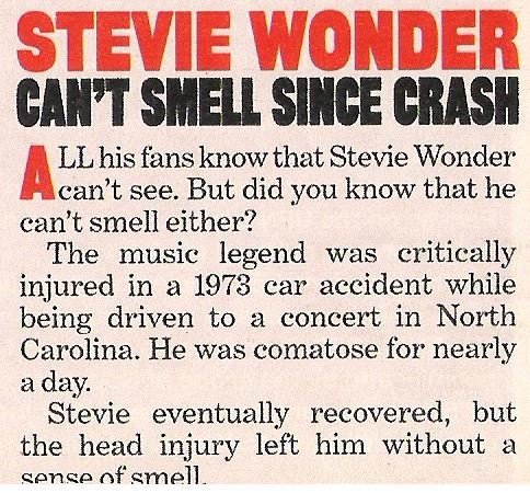 Wonder, Stevie / Can&#39;t Smell Since Crash | Magazine Article | 2002