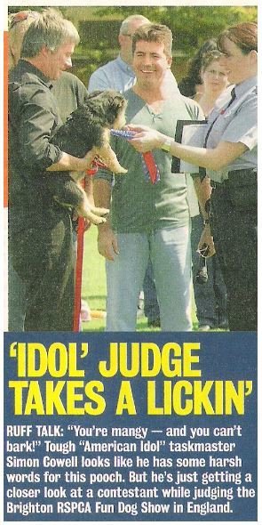 Cowell, Simon / Idol Judge Takes a Lickin&#39; | Magazine Photo with Caption | August 2004