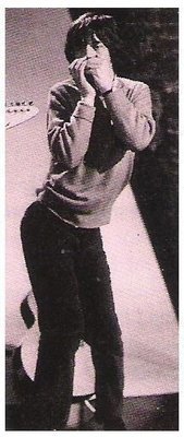 Rolling Stones, The / Mick Jagger Playing Harmonica On Stage