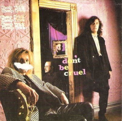 Cheap Trick / Don&#39;t Be Cruel | Epic 34-07965 | Picture Sleeve | July 1988