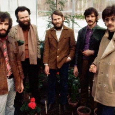Band, The