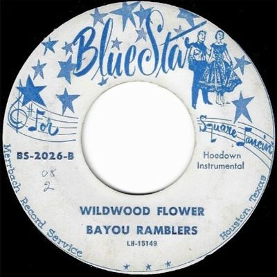 Bayou Ramblers