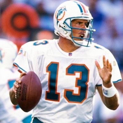 Marino, Dan