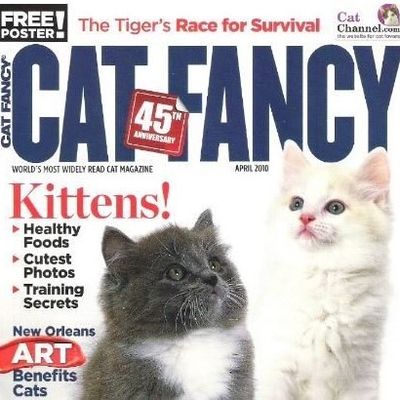 Cat Fancy