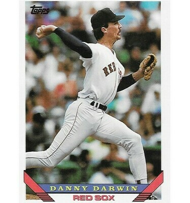 Darwin, Danny / 1993 Boston Red Sox / Topps #214