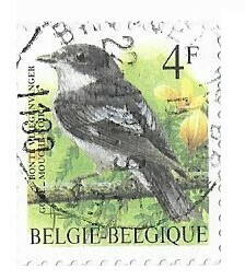 Belgium / 1996 | Bonte Vliegevanger (4 Fr) | Postage Stamp