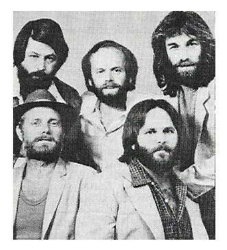 Beach Boys, The / Group Photo, Brian at Upper Left / 1970s