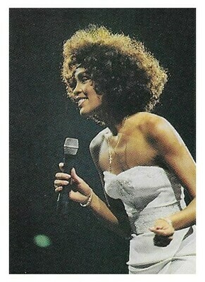 Houston, Whitney / On Stage-White Strapless Dress