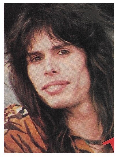 Aerosmith / Steven Tyler Closeup-Tiger Stripe Shirt / 1976