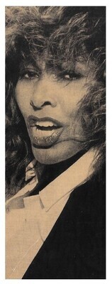 Turner, Tina / Closeup-On Stage / 1990s