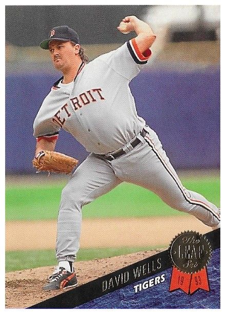 Wells, David / 1993 Detroit Tigers / Leaf #484