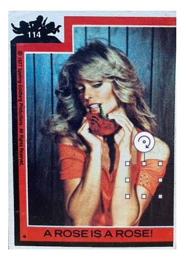 Charlie's Angels / A Rose is a Rose! / O-Pee-Chee #114 / 1977