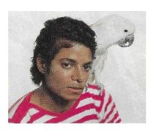 Jackson, Michael / Red-White Striped Shirt-White Bird / 1983