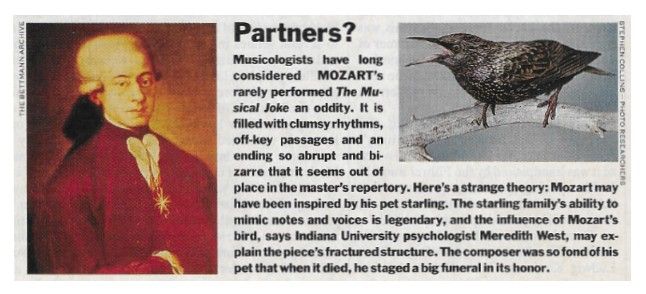 Mozart / Partners? / 1991