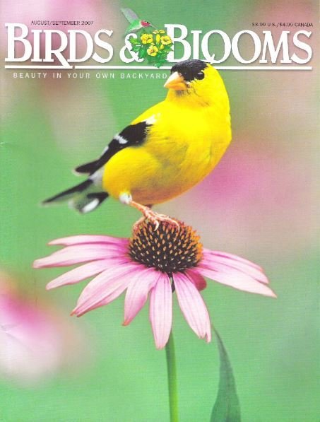 Birds + Blooms / American Goldfinch / August-September 2007
