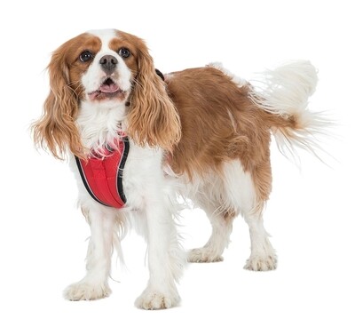 Trespass MINI TANKED - Hundegeschirr