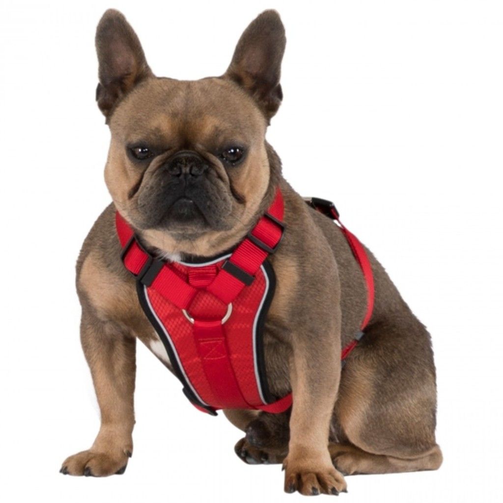 Trespass MINI TANKED - Hundegeschirr