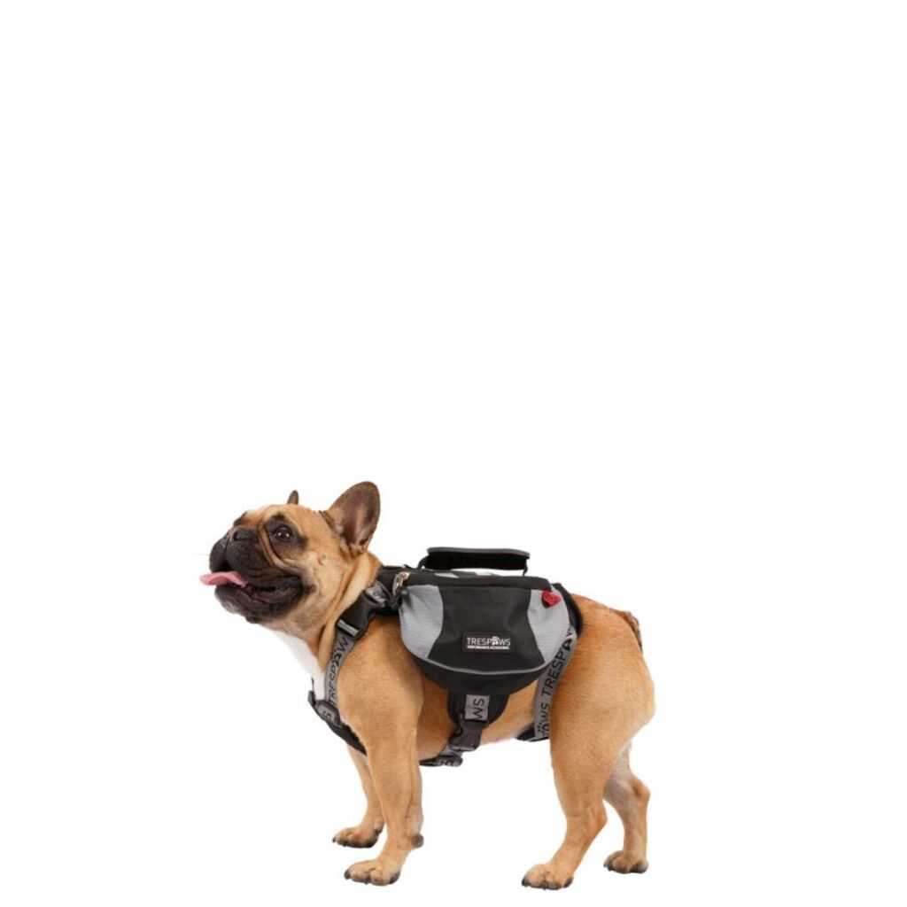 Trespass Trespaws SNOOPER - Hunde-Rucksackgeschirr