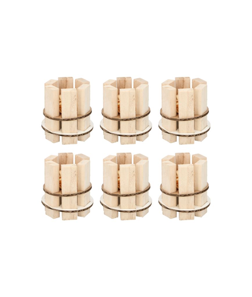 CHAMP Feuranzünder 6-er Pack