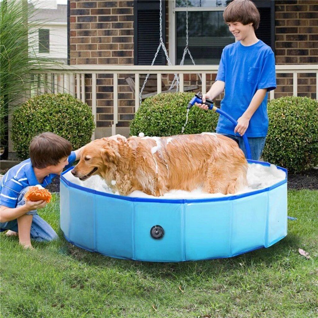 Grande piscine pour chiens Maxxpro