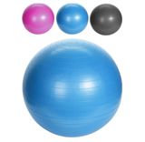 XQ Max Yoga-Ball (SV)