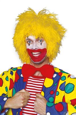 CHAMP Perücke Clown Fransen 