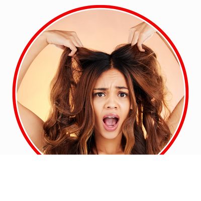 Haarpflege &amp; Styling