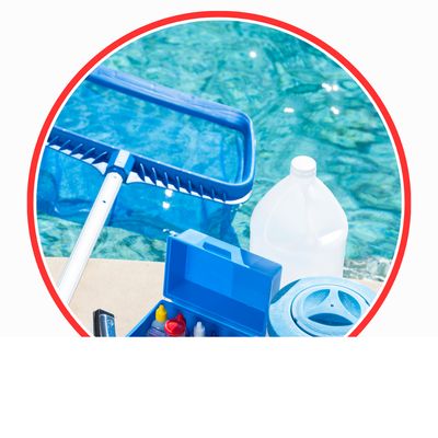 Pool-Reinigung