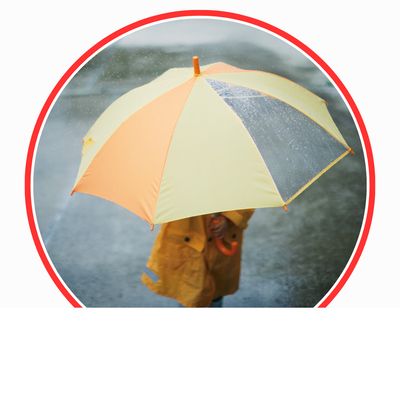 Regenschirm