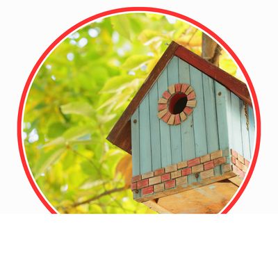Vogelhaus