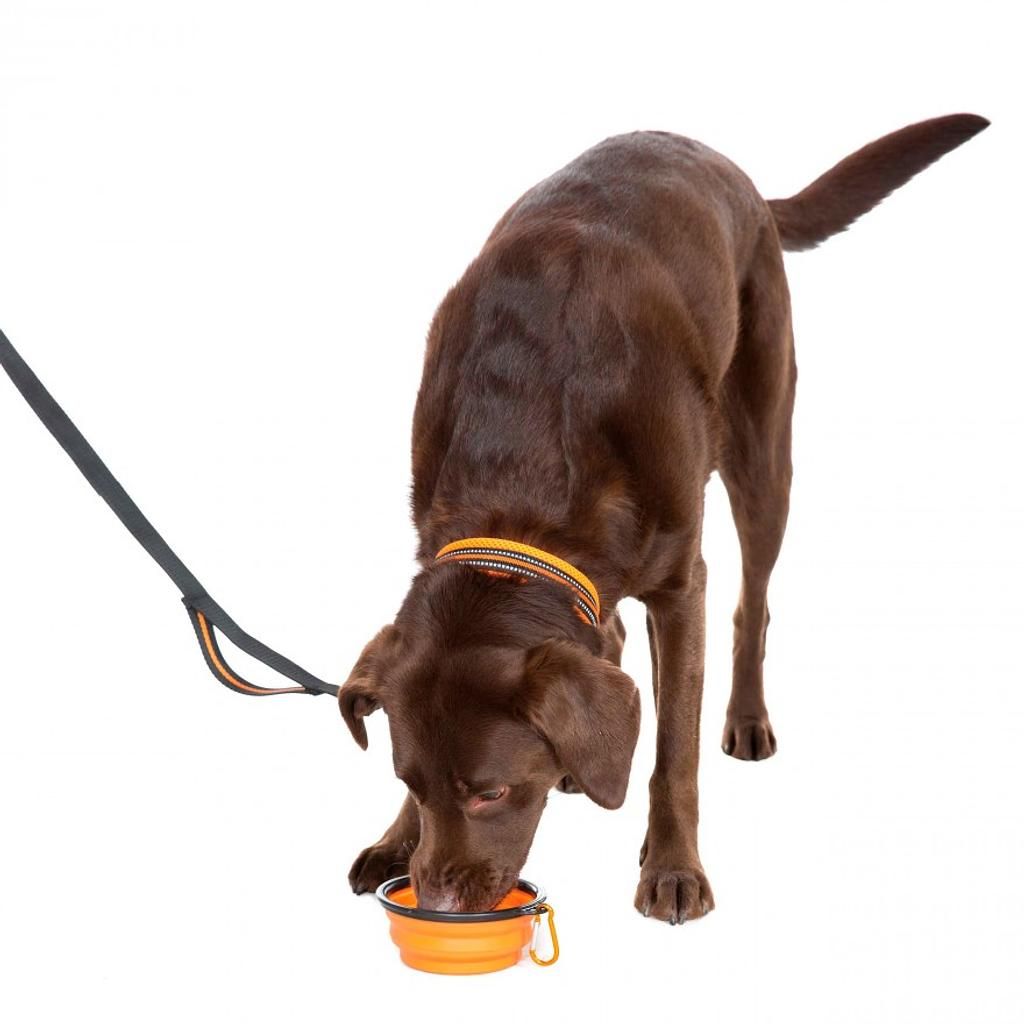 Trespass TRESPAWS SIPPY -  Faltbares Futternapf-Set