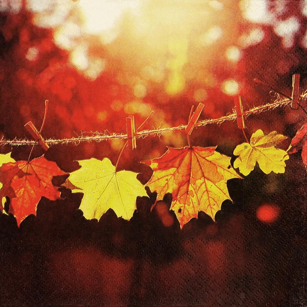 Carl Dietrich Papierservietten &quot;Herbstlaub-Leine&quot;