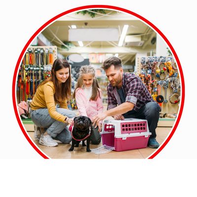 Articles pour animaux