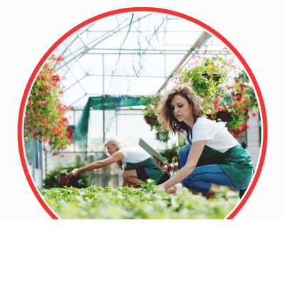 Gartenbau &amp; Technik