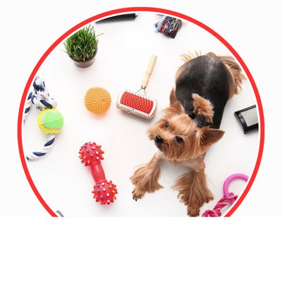 Diverses &amp; Zubehör