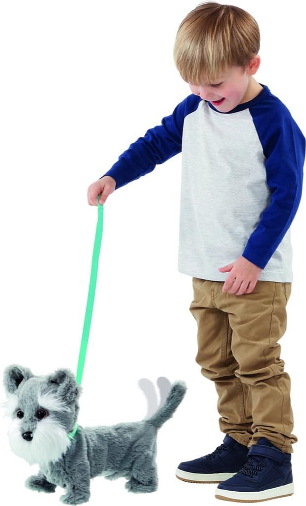 Goliath Tilly der Terrier