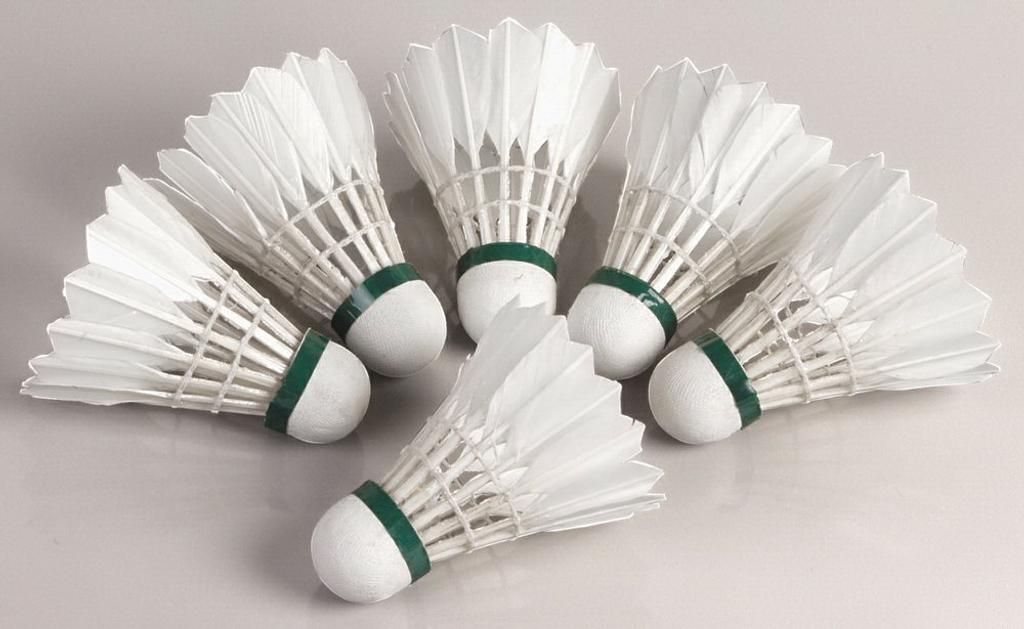Hudora natural shuttlecocks Speed ​​set of 6