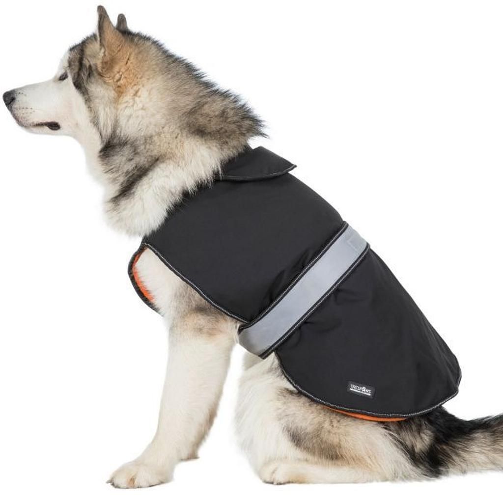 Trespass BUTCH X - Softshell dog jacket