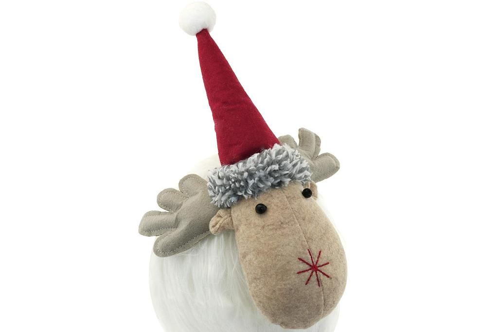 CHAMP sheep waddling "Sabine"