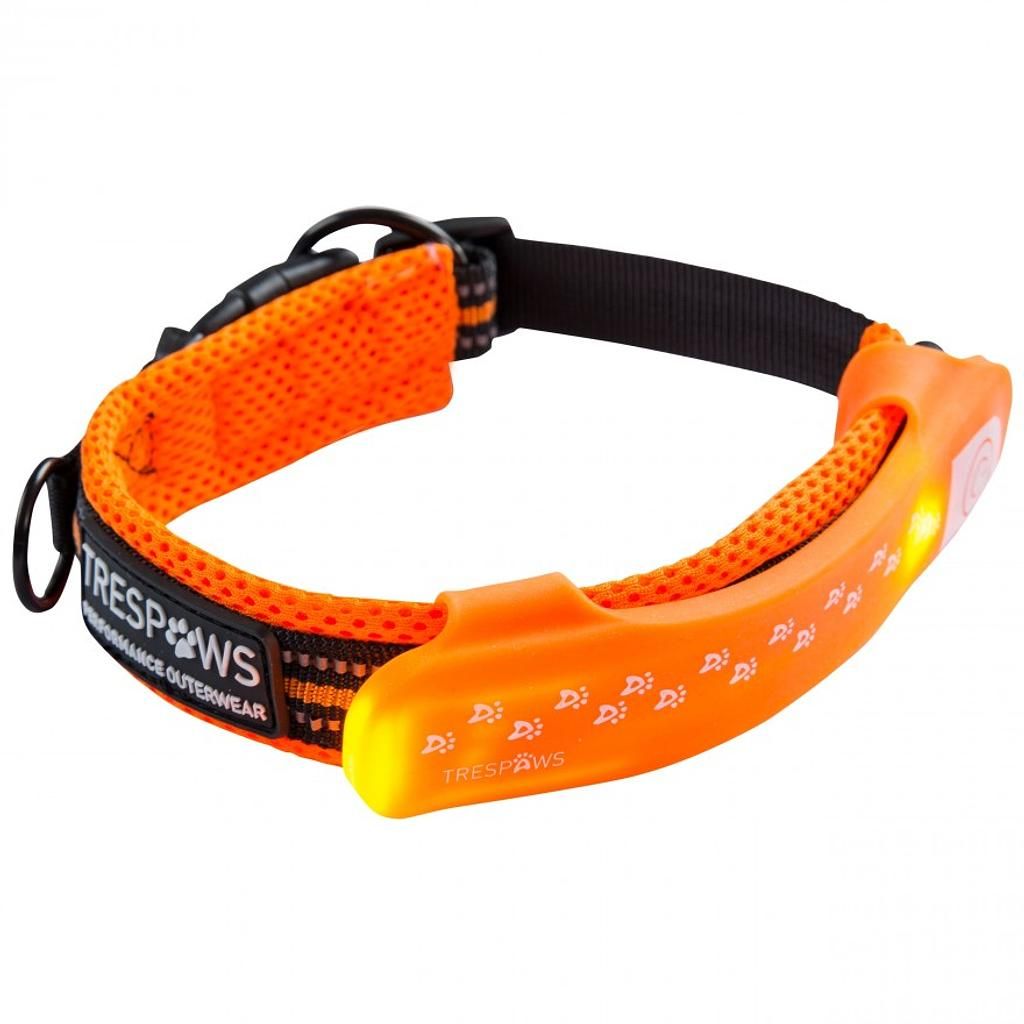 Trespass DISCO DOG Hundehalsband Clip