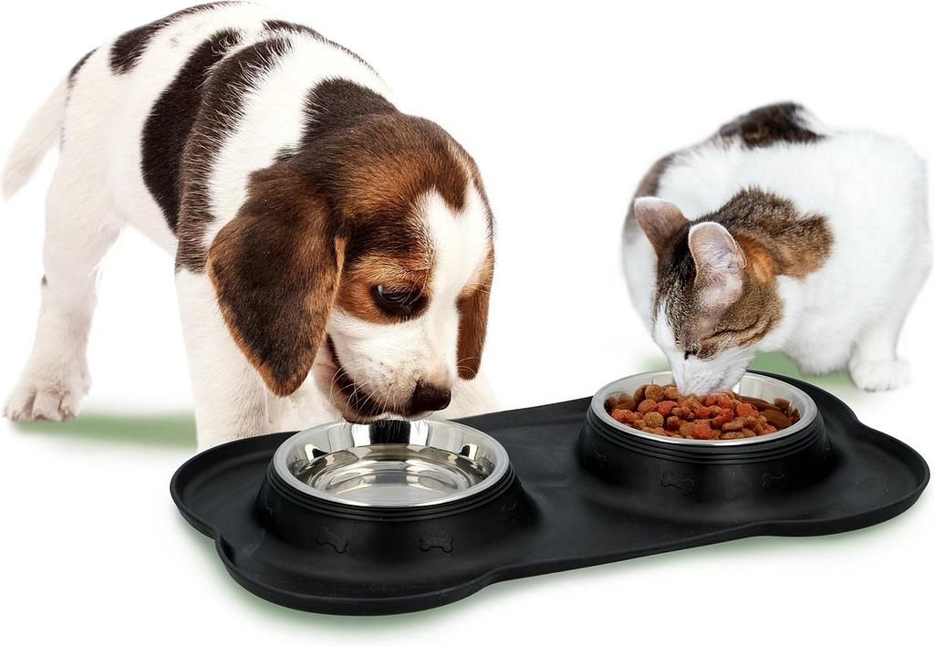 PET feeding bowls with base