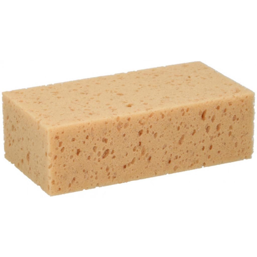 Lifetime Jumbo Sponge
