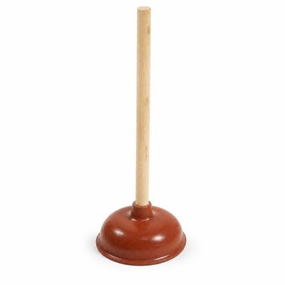 CHAMP drain plunger