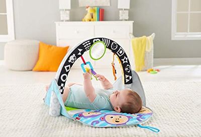 Fisher Price Play Mat to Go, Crawling Mat